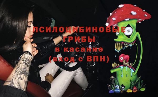 дживик Абаза