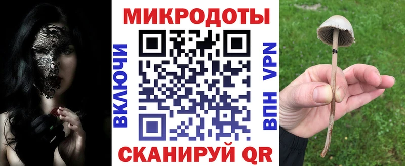 Галлюциногенные грибы Psilocybine cubensis цена наркотик Норильск